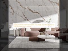 1200x2700mm کاشی های پورسلین داخلی مقاومت بالا در برابر لکه برای نگهداری آسان کف