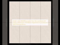 کاشی‌های کف چینی 800x800 به سبک مدرن همراه با ابعاد محصول 7501500 میلی‌متر برای ارائه و گزینه‌های کفپوش شیک طراحی شده است.