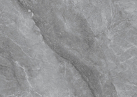 آسکار خاکستری شیشه های پورسلین داخلی مقاومت به لکه سطح آسان برای تمیز کردن