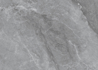 آسکار خاکستری شیشه های پورسلین داخلی مقاومت به لکه سطح آسان برای تمیز کردن
