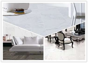 کاشی سرامیک کف آشپزخانه Arabescato Corchia Corchia White Marble Like Tile 600x1200mm
