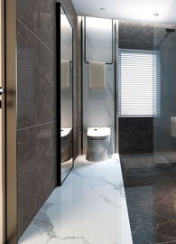 کاشی چینی دیواری با دوام 750*1500 میلی‌متر با دقت بالا تزئینی