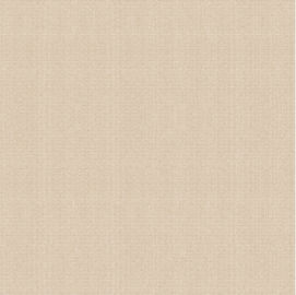 کاشی چینی بدون لغزش سیمانی سطح مات، کاشی چینی مات روستیک 600*600 میلی متر