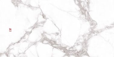 کاشی های چینی داخلی آشپزخانه 900x1800 طرح دار به سبک مدرن