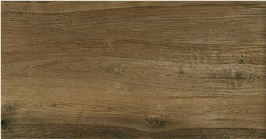 کاشی دیوار بیرونی طرح کاشی نازک 600x1200mm کاشی کاشی چینی مدرن اتاق نشیمن