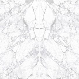 کاشی‌های سنگ مرمر چینی 12 میلی‌متری Statuario White 1600x3200 براق و براق