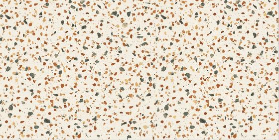 کاشی کف سرامیکی Terrazzo 60x120cm برای سنگفرش باغ